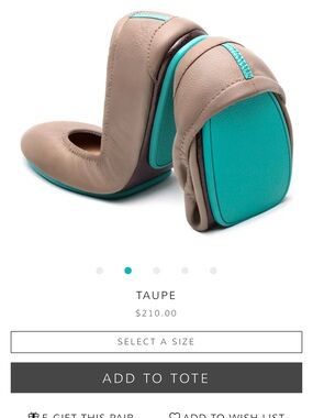 Tieks Taupe Ballet Flats